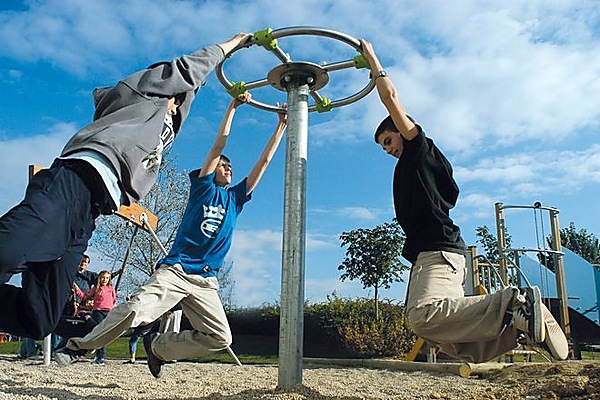 estructura-dinamica-proludic-j2591-anillas-de-equilibrio